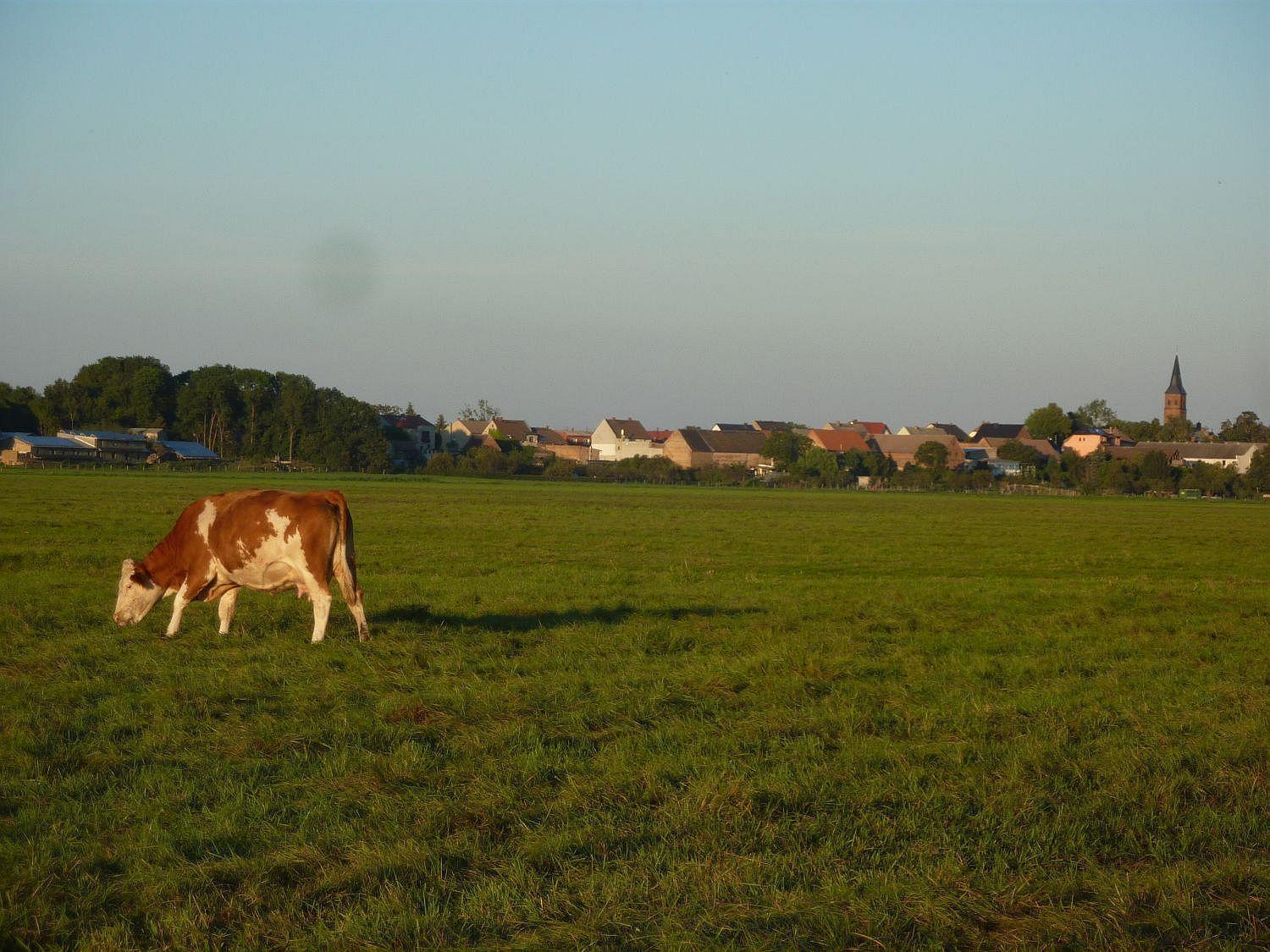 Ferienwohnung Zallnerhof Am Elberadweg In Steutz エクステリア 写真